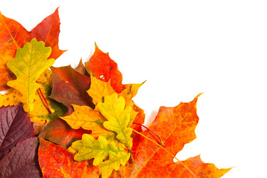 Similar image 2927439