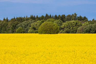 Similar image 2927449