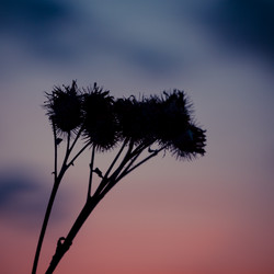 Similar image 2927471