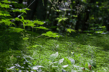 Similar image 2927476