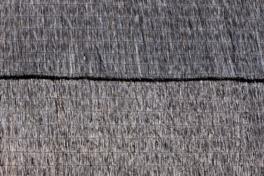 Similar image 2927482