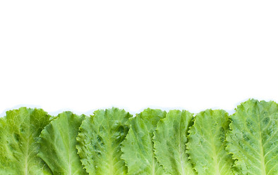 Similar image 2927489