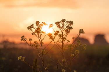 Similar image 2927505