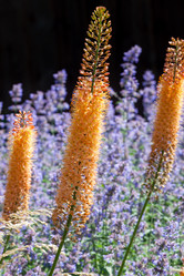 Similar image 2927509