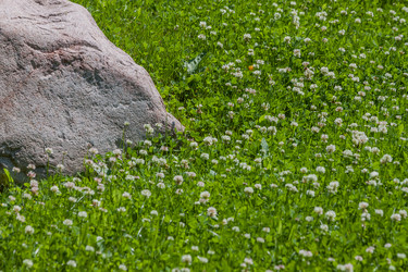 Similar image 2927513