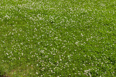 Similar image 2927514