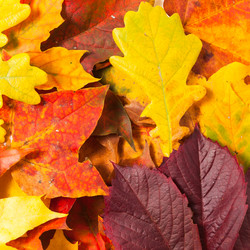 Similar image 2927518