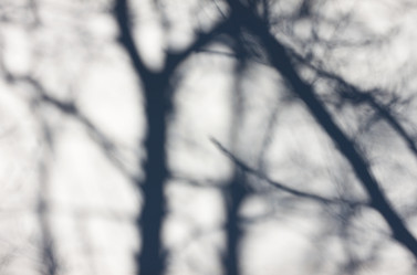 Similar image 2927524