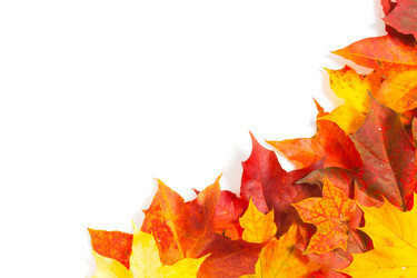 Similar image 2927525