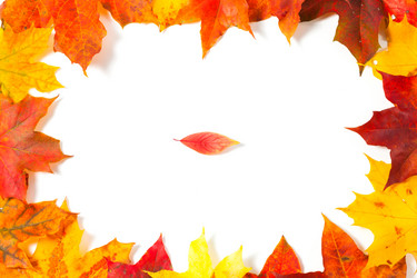 Similar image 2927534