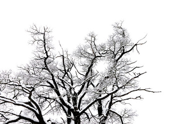 Similar image 2927555