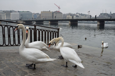 Similar image 2927557