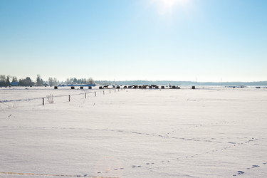 Similar image 2927558