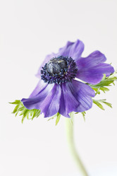 Similar image 2927564