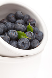 Similar image 2927576