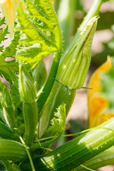 Similar image 2927577