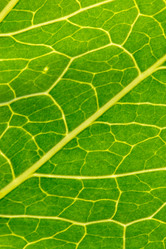 Similar image 2927579