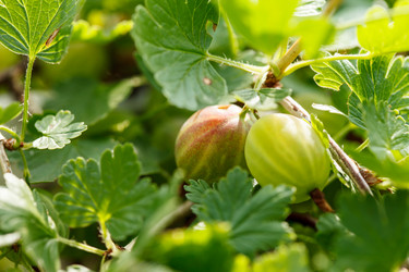 Similar image 2927581