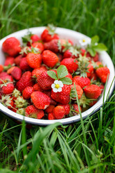 Similar image 2927583