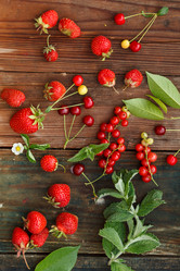 Similar image 2927598