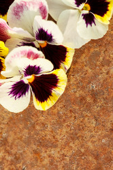 Similar image 2927603