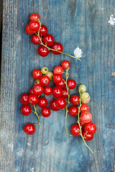 Similar image 2927610