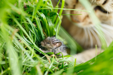 Similar image 2927611