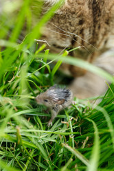 Similar image 2927612