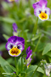 Similar image 2927625