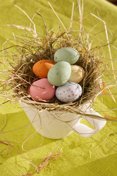 Similar image 2927629