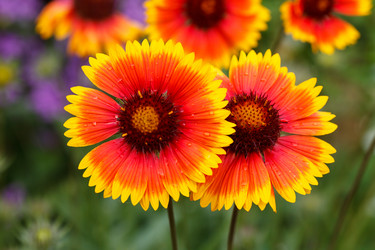 Similar image 2927634