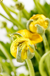 Similar image 2927637