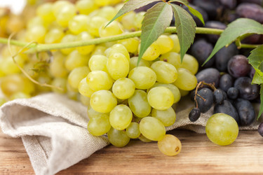 Similar image 2927652