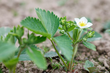 Similar image 2927675