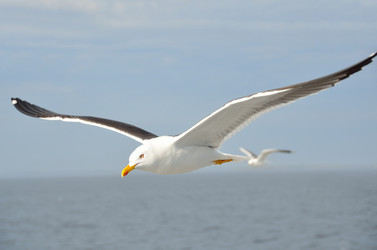 Similar image 2927702