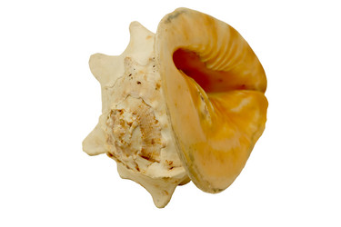 Similar image 2927733