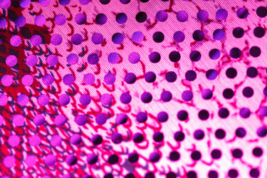 Similar image 2927761