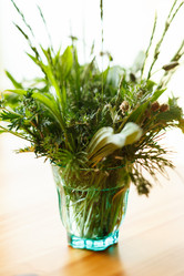 Similar image 2927767