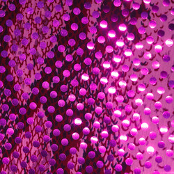 Similar image 2927774