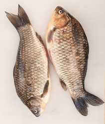 Similar image 2927784