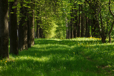 Similar image 2927785