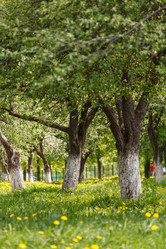 Similar image 2927793