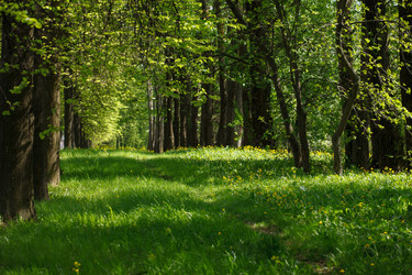 Similar image 2927811