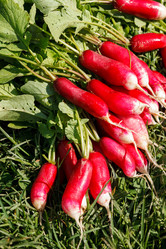 Similar image 2927814