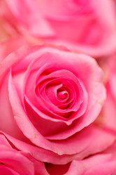 Similar image 2927822