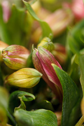 Similar image 2927823