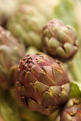 Similar image 2927825