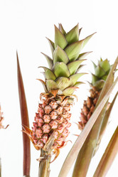 Similar image 2927826