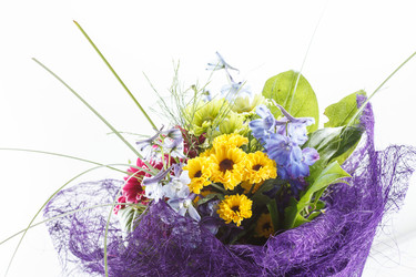 Similar image 2927827