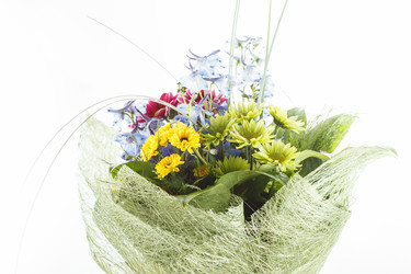 Similar image 2927828